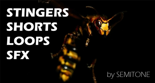Stingers Shorts Loops SFX